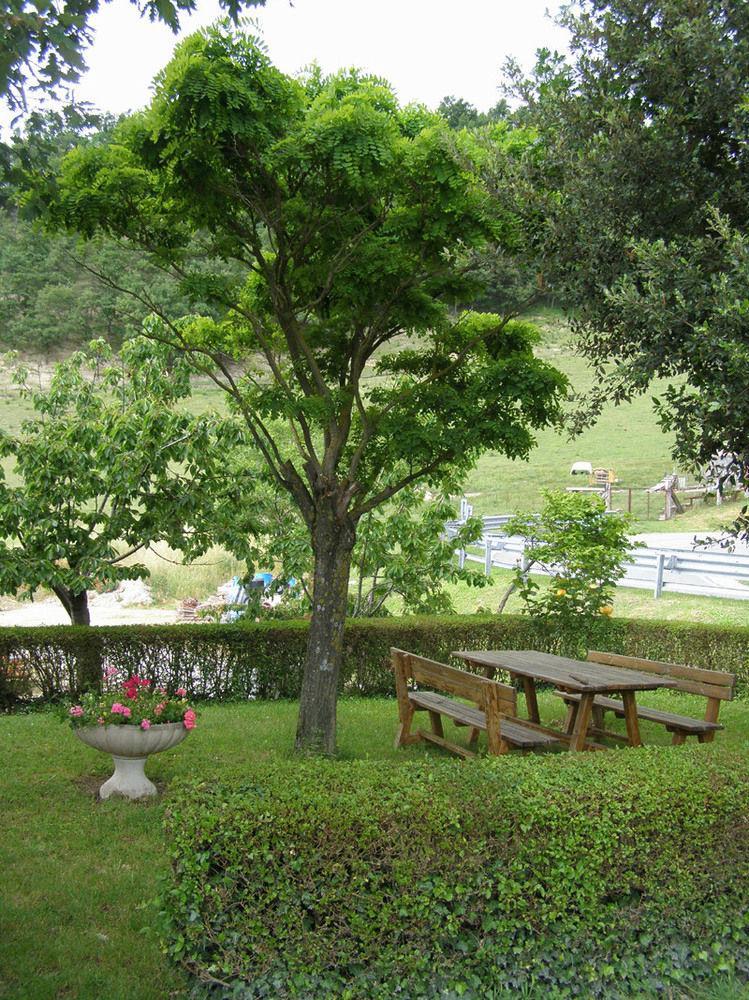 Agriturismo La Caputa Urbania Εξωτερικό φωτογραφία